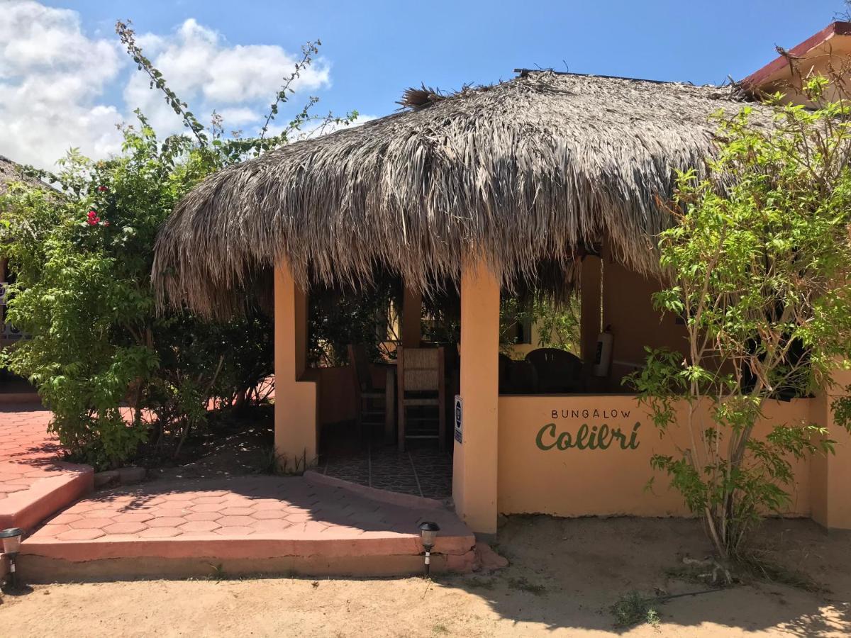 Bungalows Cabo Pulmo Exteriör bild
