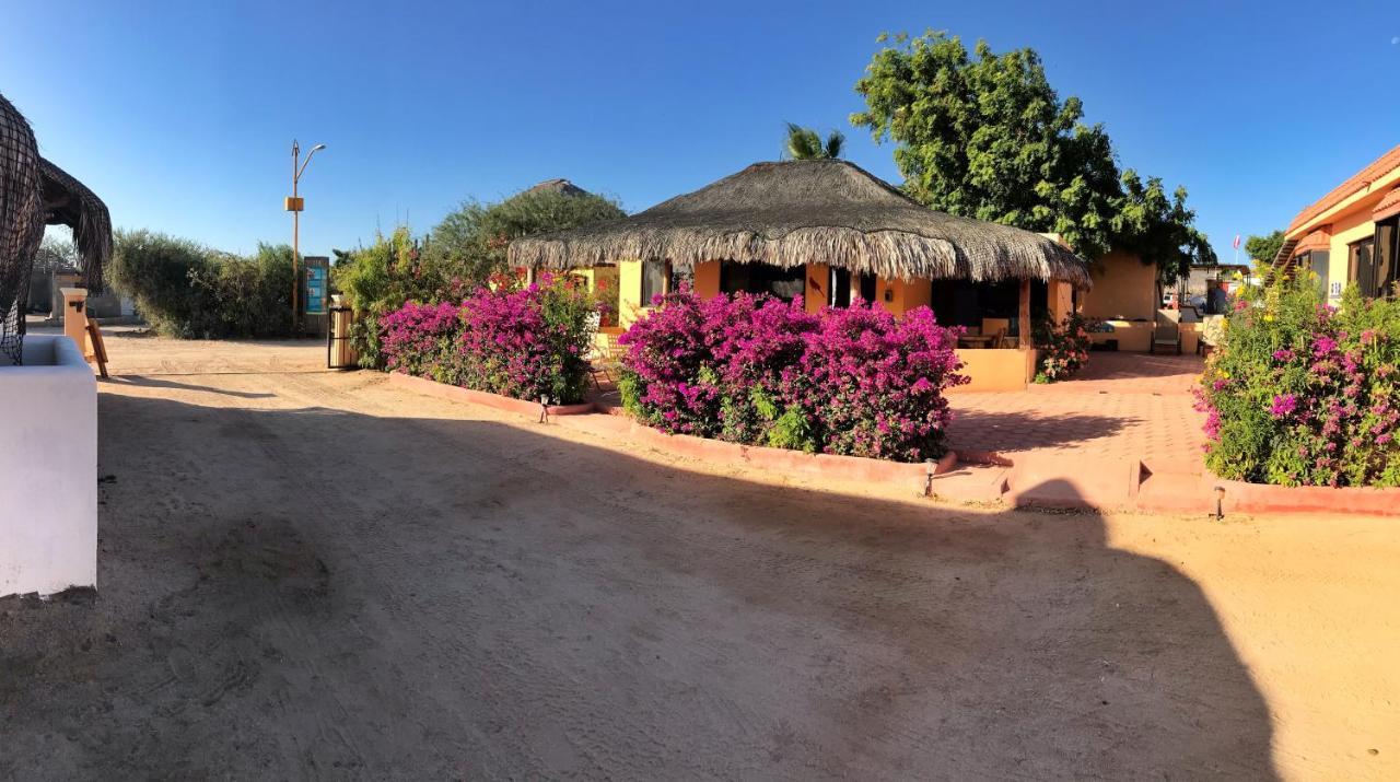 Bungalows Cabo Pulmo Exteriör bild