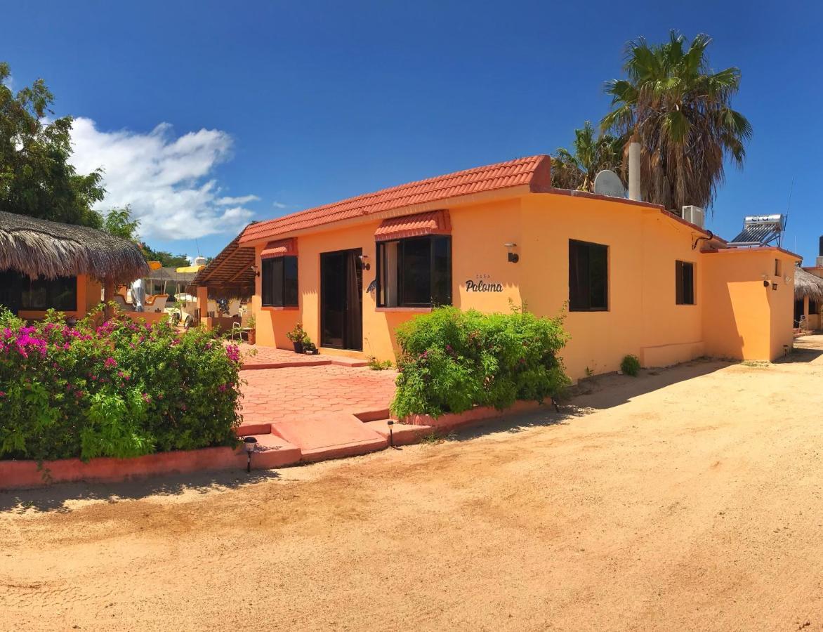 Bungalows Cabo Pulmo Exteriör bild