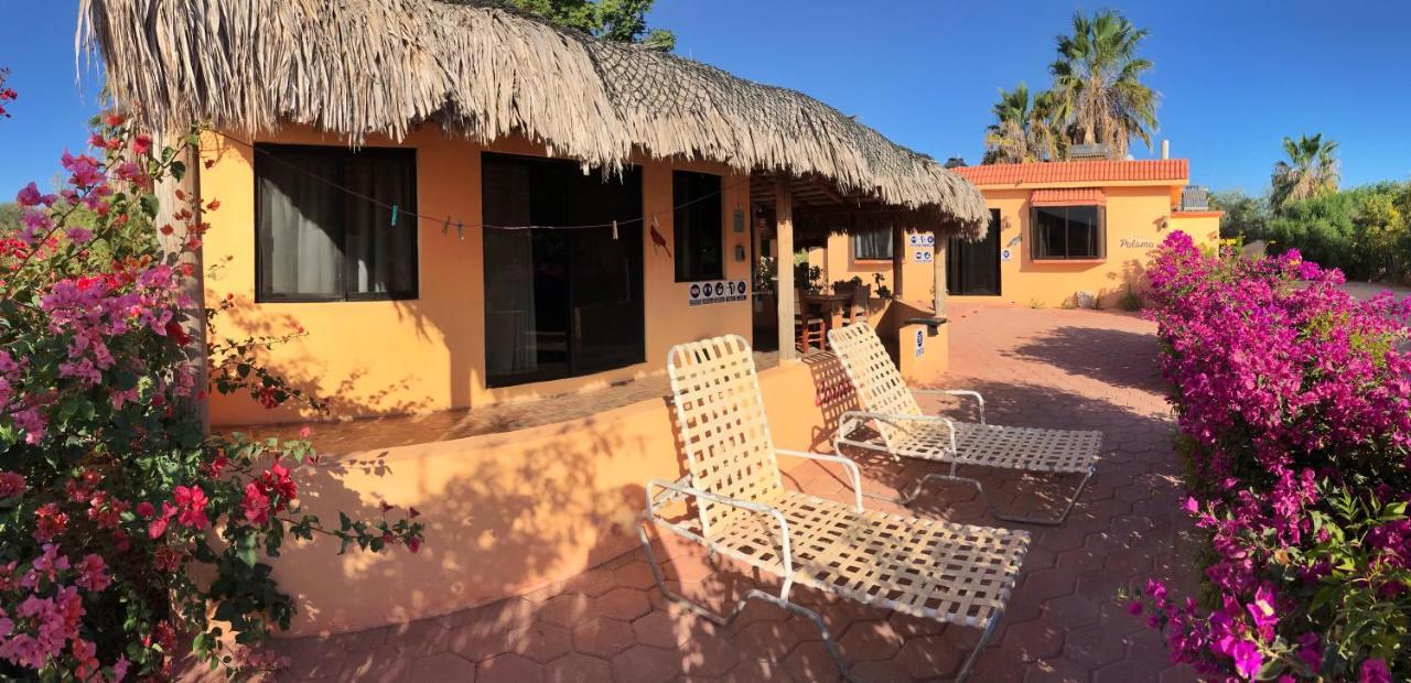 Bungalows Cabo Pulmo Exteriör bild